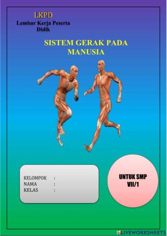 Sistem gerak pada manusia