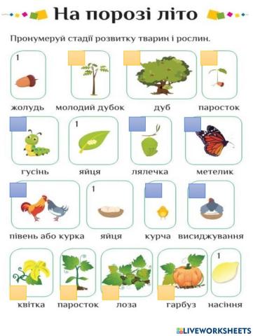 На порозі літо