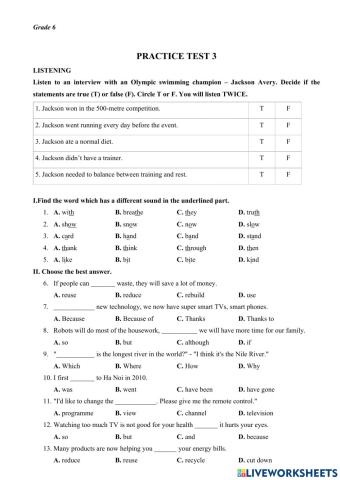 Grade 6 - PRACTICE TEST 3