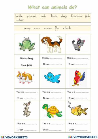 Can animals do this ?