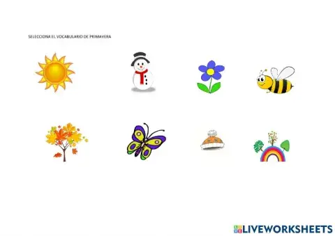 Selecciona el vocabulario de primavera