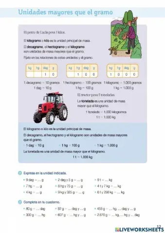 Unidades mayores gramo (P13)