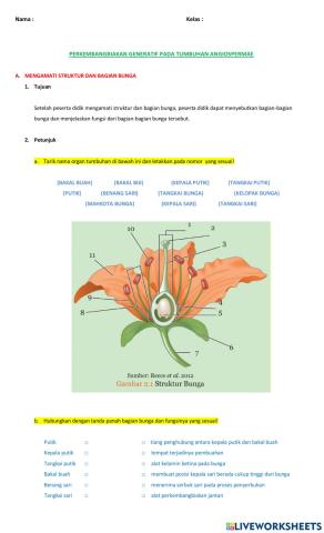 PERKEMBANGBIAKAN GENERATIF PADA TUMBUHAN ANGIOSPERMAE (Mengamati Struktur dan Bagian Bunga)