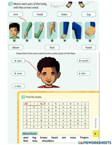 Body parts -2