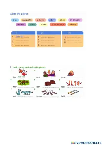 Singular - plural nouns