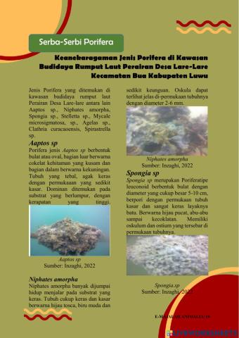 Topik 2 Iinvertebrata: serba-serbi porifera dan coelenterata)