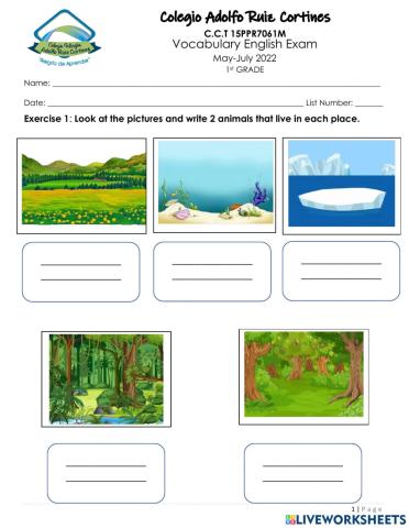 Vocabulary Exam 3rd Period