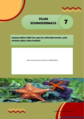 Topik 2 (invertebrata): a echinodermata dan artophoda