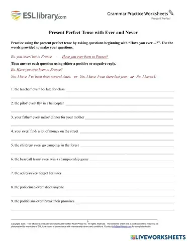 Present perfect practice 2