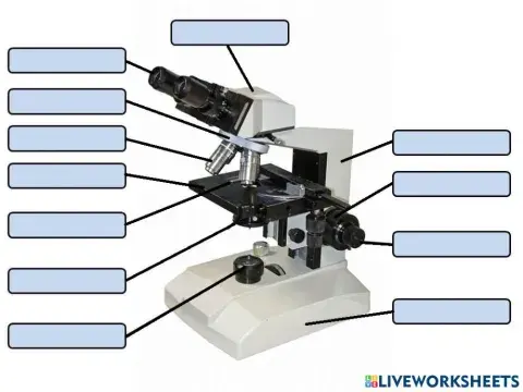 Partes del Microscopio
