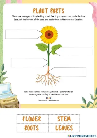 Amira's Suitcase - Plant Parts