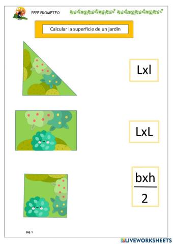 Area jardin cuadrado, rectangulo y triángulo