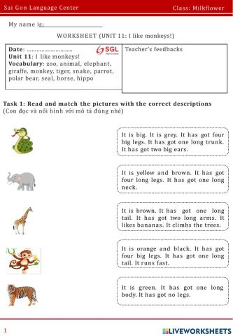 FFs1. Unit 11: I like monkey!