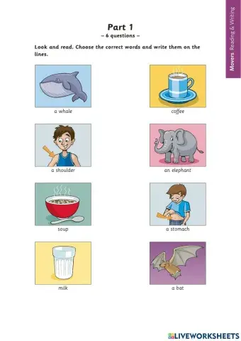 Cambridge mock exam vol 2 reading-writing