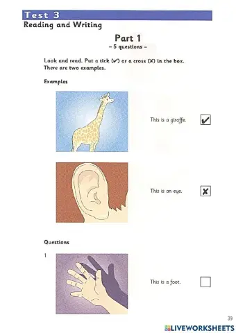 Starters - Test 3 - Book 6 - Reading and Writing