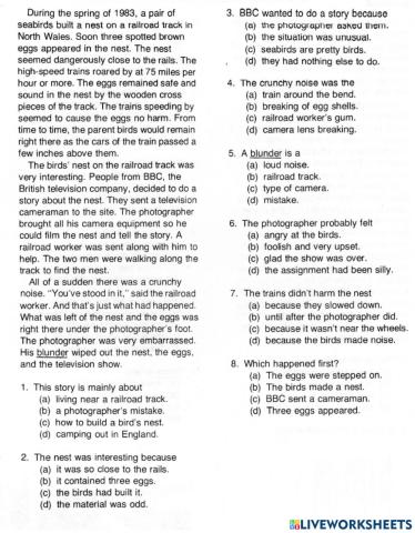 Reading Comprehension