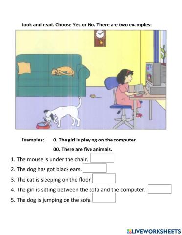 Read and choose YES - NO