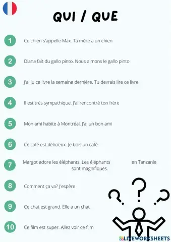 Les pronoms relatifs Qui - Que