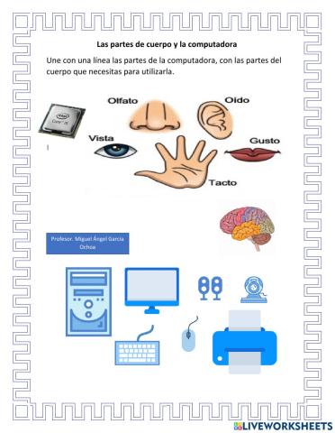 Los sentidos y la pc