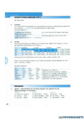 Adjektivdeklination Bestimmter Artikel