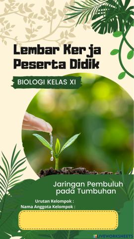 Jaringan pada Tumbuhan