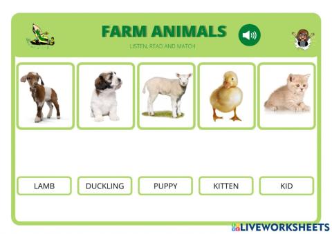 Baby farm animals-1