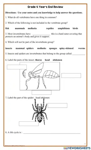 Science End of Year Review Grade 4