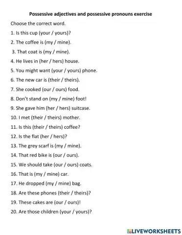 Possessive adjectives and possessive pronouns exercise