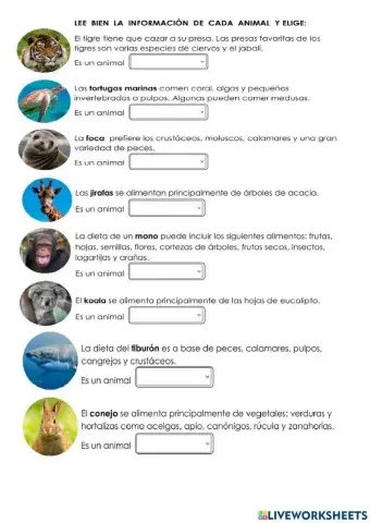 Animales segun su alimentación