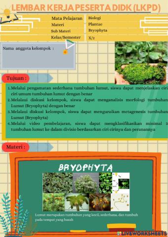 Bryophyta