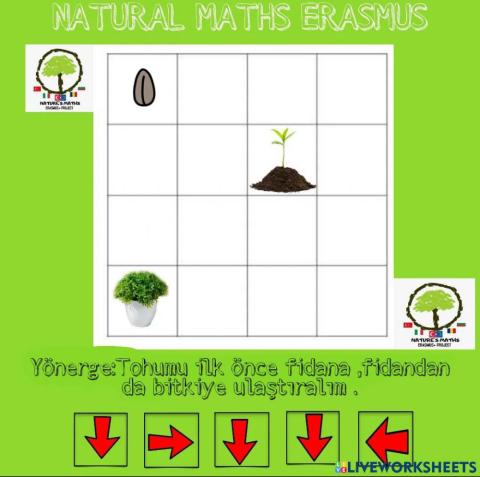 Doğanın matematiği
