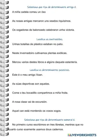 Determinantes artigos contraccions posesivos