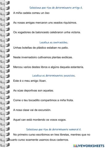 Determinantes artigos contraccions posesivos