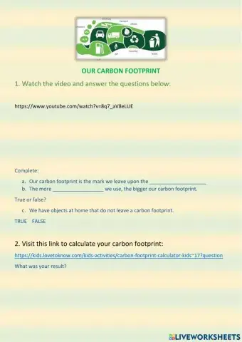 Our Carbon Footprint