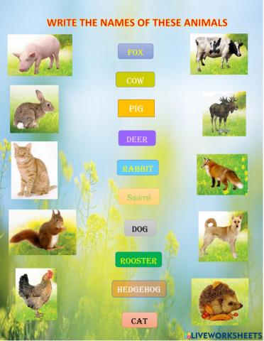 Domestic and wild animals