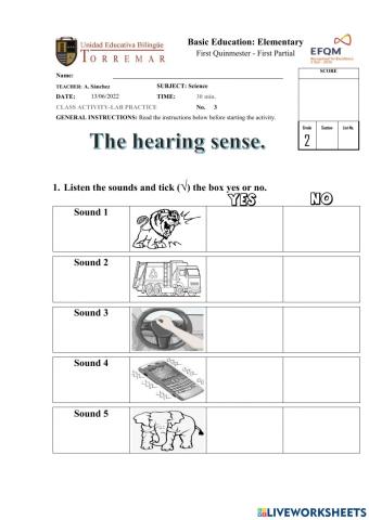 Lab Practice 3: The Hearing Sense