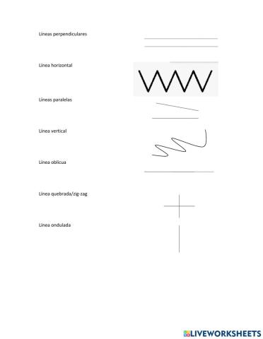 Tipos de líneas