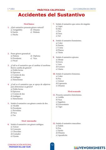 Accidentes sustantivo