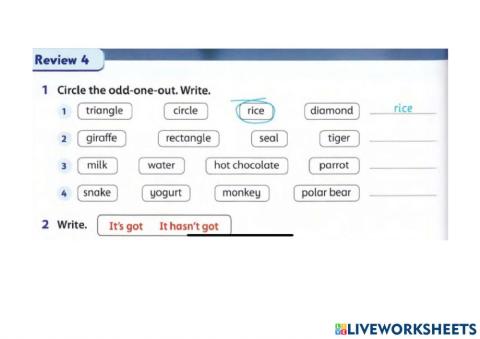 Family and friends 1 unit 12 check