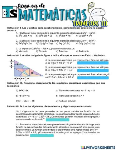 Examen final de Matematicas