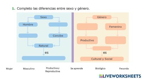 Diferencias entre sexo y género
