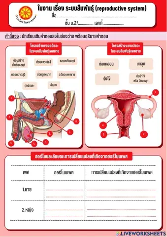 ระบบสืบพันธุ์