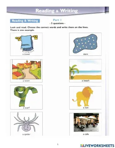 Succeed in movers - Reading test 5