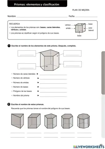 P50 PRISMAS: elementos y clasificación