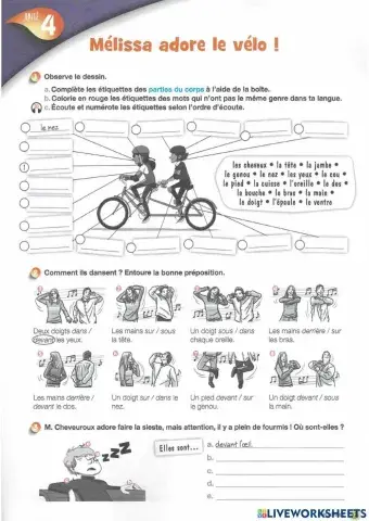 Les parties du corps et les prépositions de lieu
