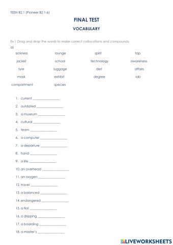 FINAL TEST - VOCABULARY (Pioneer B2, 1-6)
