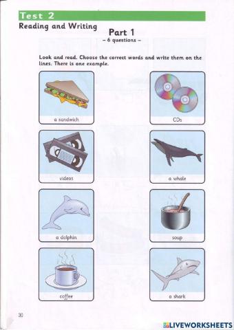 Movers - Test 2.1 - Book 2 - Reading + Writing