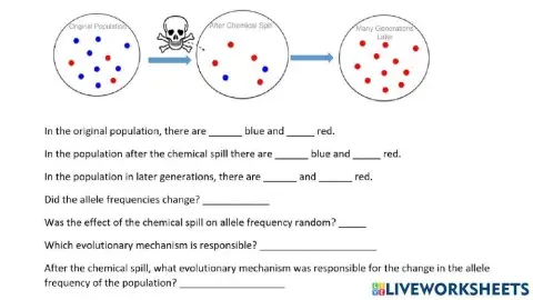 other mechanisms of evolution
