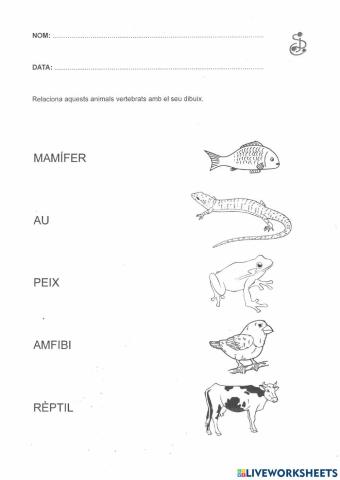 Classificació dels animals vertebrats