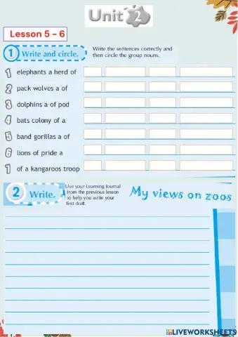 Grade 8 Unit 2 Lessons 5-6 SB Pages 16-17
